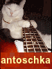 antoschka