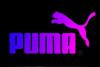 Puma2011